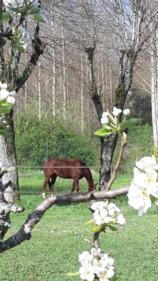 Villa Claude Cognac Bagian luar foto